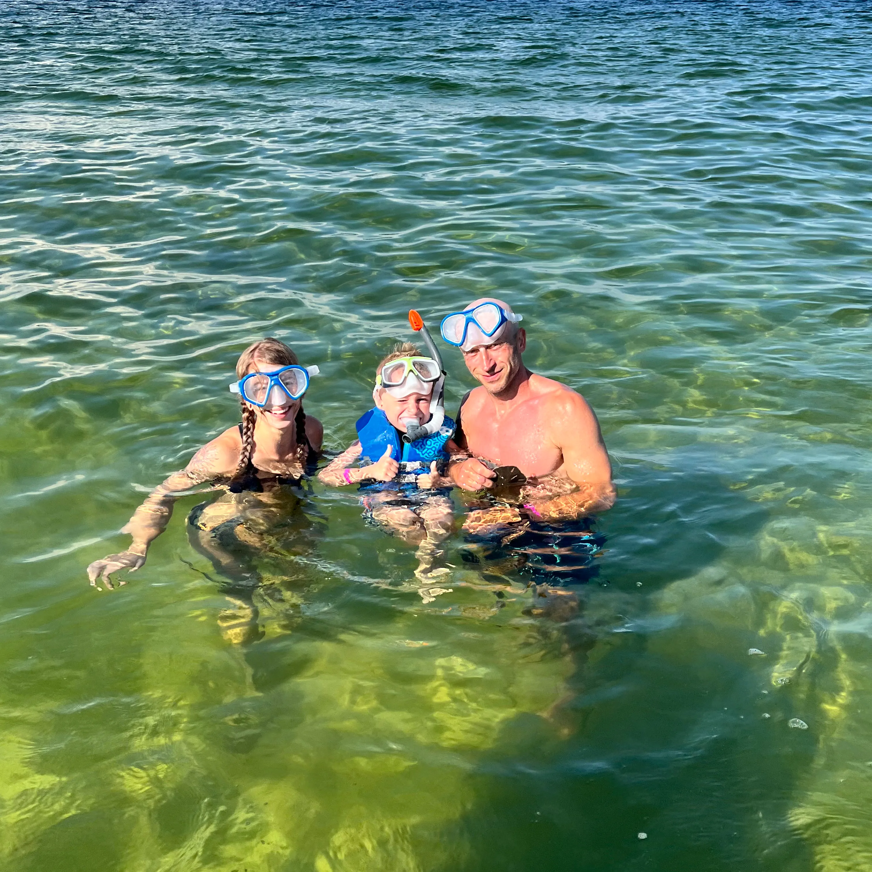 dolphin tours